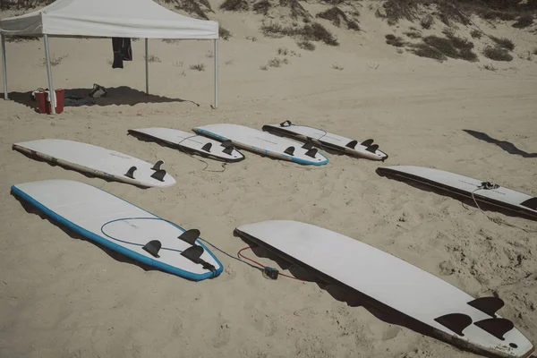 Colpo Alto Angolo Tavole Surf Una Spiaggia Sabbiosa — Foto Stock