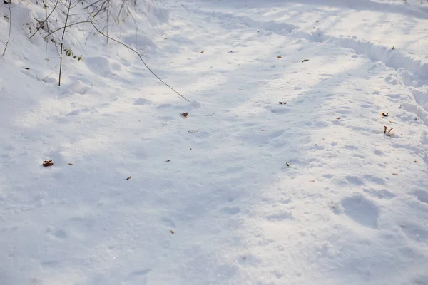 Bel Colpo Neve Durante Inverno — Foto Stock