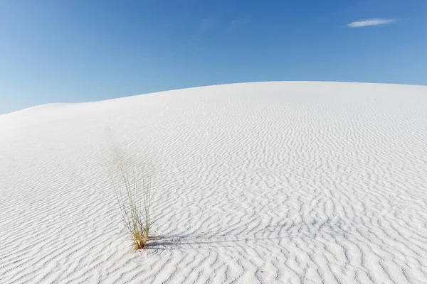 Una Bella Foto Del Parco Nazionale White Sands Giorno — Foto Stock