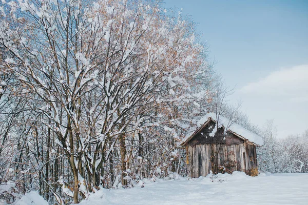 Stara Drewniana Stodoła Polu Pokrytym Drzewami Śniegiem Pod Słońcem Dzień — Zdjęcie stockowe