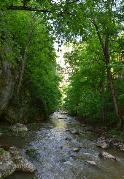 Mesmerizing View Famous Varghis Gorges Romania — Stock Photo, Image