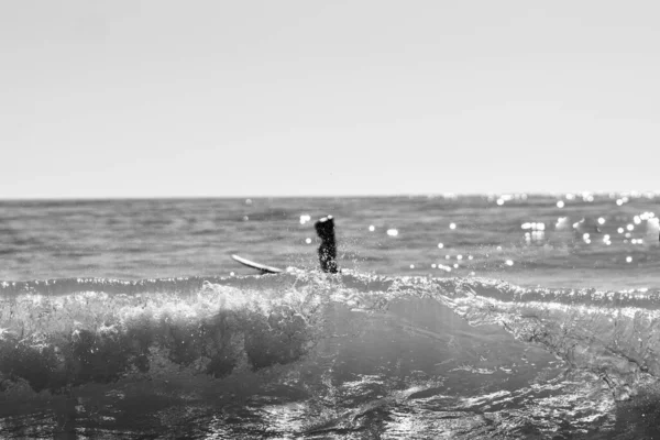 カディスの波状の海でサーフィンしている白人女性のグレースケールショット — ストック写真