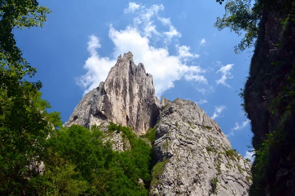 Eine Schöne Aufnahme Der Turzii Schlucht Rumänien — Stockfoto