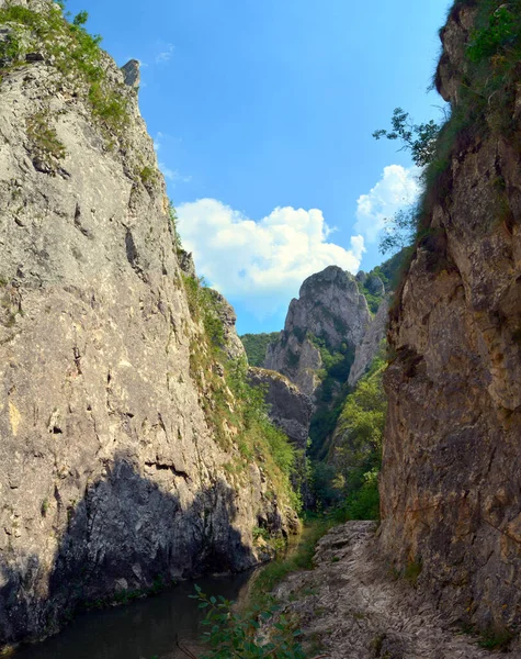 Вертикальний Постріл Ущелин Турції Румунії — стокове фото