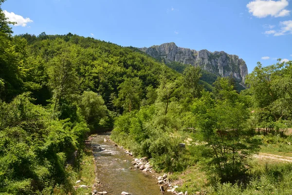 罗马尼亚的一个Ramet峡谷 — 图库照片