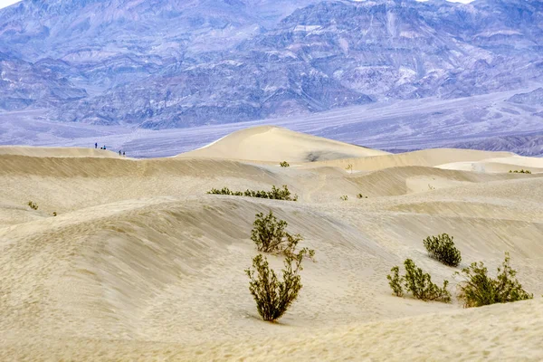 Primer Plano Dunas Arena Parque Nacional Death Valley — Foto de Stock