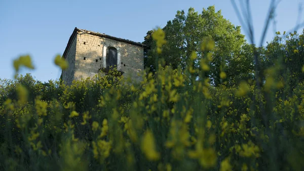 Vue Angle Bas Une Petite Maison Village Verdure Fleurs Jaunes — Photo