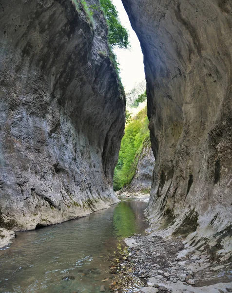 Uma Bela Vista Ramet Gorge Sob Céu Brilhante Romênia — Fotografia de Stock