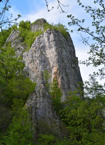 Чудовий Краєвид Відомих Ущелин Варгіса Румунії — стокове фото