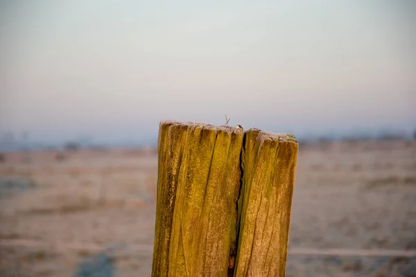 Detailní Záběr Vršek Dřevěného Doku — Stock fotografie