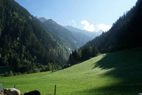 美丽的风景秀丽的叶山 — 图库照片