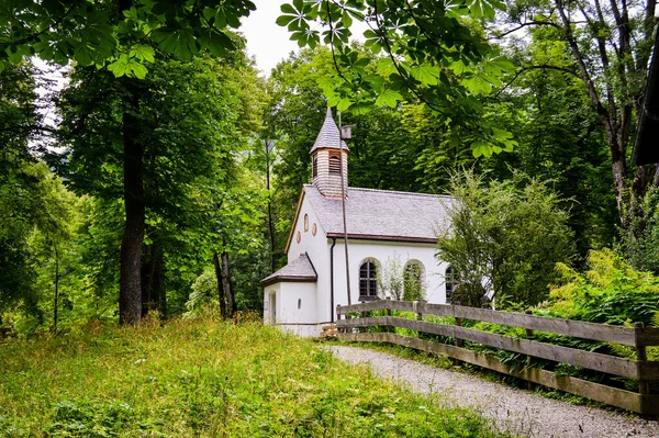 Nahaufnahme Einer Kleinen Weißen Kirche Wald — Stockfoto