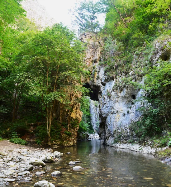 Romanya Parlak Bir Gökyüzünün Altında Ramet Vadisi Nin Güzel Bir — Stok fotoğraf