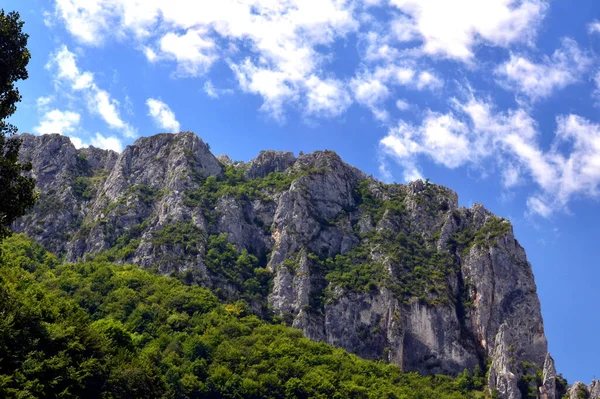 Красивый Вид Ущелье Рамет Ярким Небом Румынии — стоковое фото