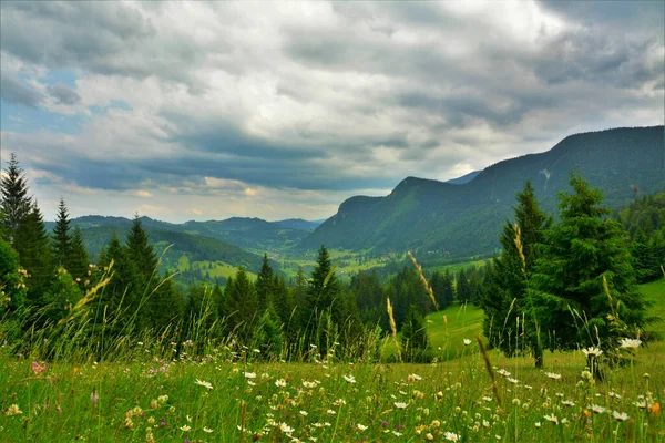 Hermoso Paisaje Verde Campo Hierba Con Árboles Rodeados Montañas — Foto de Stock