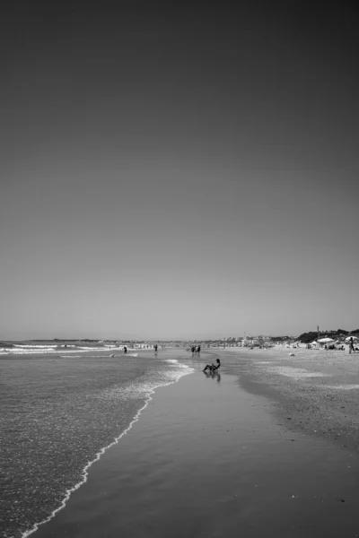 Een Verticale Witte Zwarte Opname Van Een Zandstrand Andalusië Perfect — Stockfoto