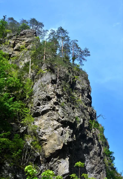 Vertical Shot Lotrisor Gorge Romania — Stock Photo, Image