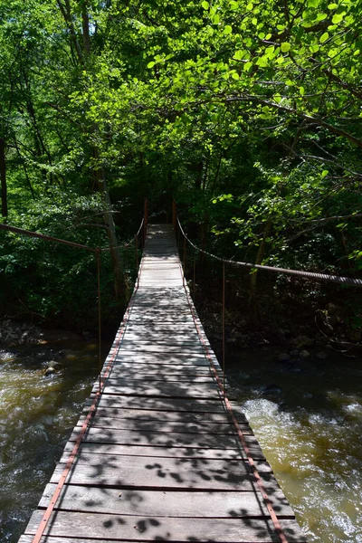 Eine Vertikale Aufnahme Der Varghis Schlucht Rumänien — Stockfoto