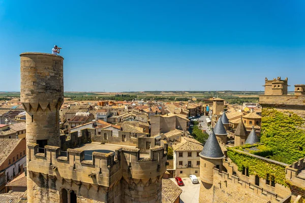 Spanya Navarra Daki Bir Kalenin Yüksek Açılı Görüntüsü — Stok fotoğraf