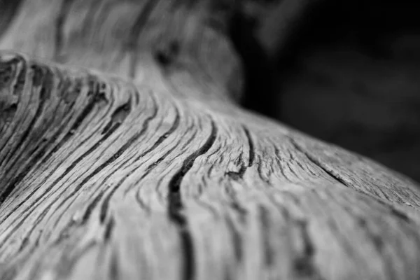 Tiro Escala Cinza Uma Textura Madeira Com Rachaduras — Fotografia de Stock