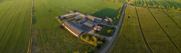 Boven Een Panoramisch Uitzicht Hollandse Boerderij Bij Zonsondergang Omgeven Door — Stockfoto