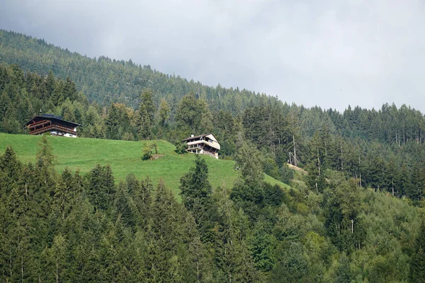 Ağaçlarla Çevrili Bir Tepedeki Kır Evleri — Stok fotoğraf