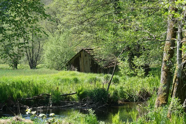 Ein Altes Hölzernes Dorfhaus Wald — Stockfoto