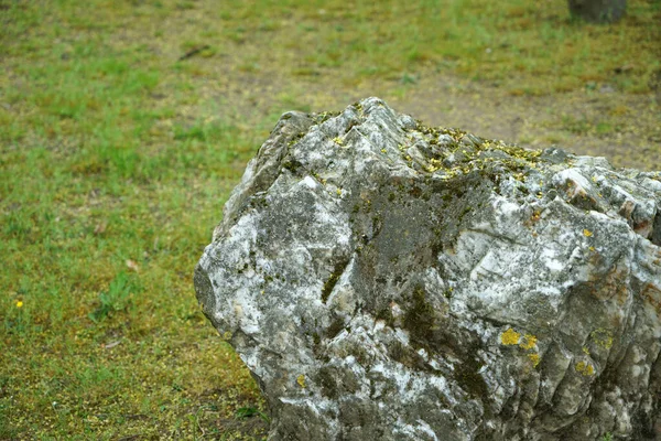 Una Roccia Ricoperta Muschio — Foto Stock