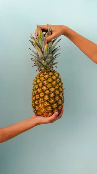 Eine Vertikale Aufnahme Von Händen Die Eine Ananas Halten — Stockfoto