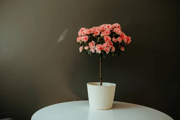 Close Lindo Buquê Floral Com Rosas Rosa — Fotografia de Stock