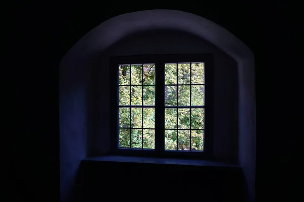 Ein Schöner Blick Auf Den Garten Aus Einem Ländlichen Fensterrahmen — Stockfoto