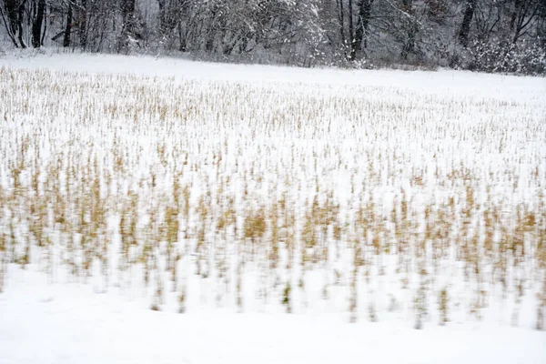 Чудова Зима Великою Кількістю Снігу Баварії — стокове фото