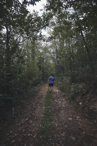 Plan Vertical Homme Marchant Sur Chemin Travers Les Bois Dans — Photo