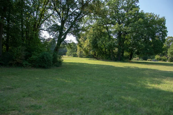 Een Park Gazon Met Groene Bomen — Stockfoto