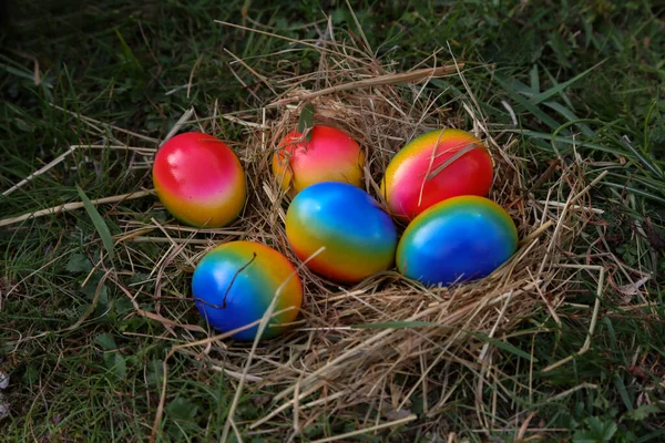 Una Vista Superior Las Composiciones Con Huevos Pascua Pintados —  Fotos de Stock