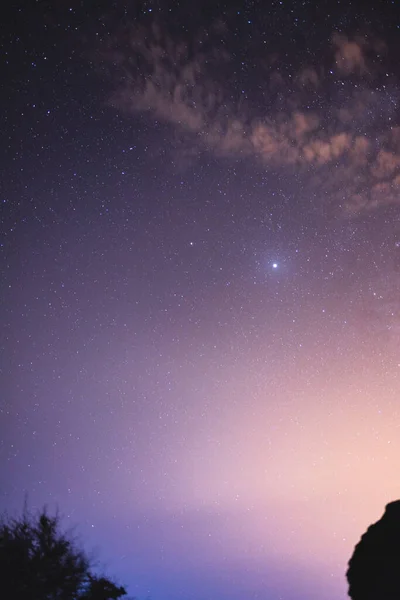 Plano Vertical Asombroso Cielo Estrellado Sobre Forma Los Árboles — Foto de Stock
