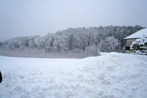 Schöne Aufnahme Einer Schneebedeckten Waldlandschaft — Stockfoto