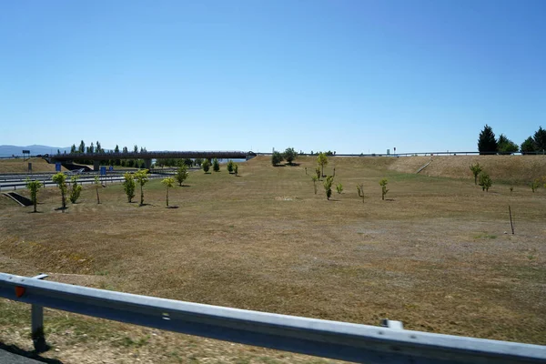 Ein Ländliches Trockenes Feld Mit Bäumen — Stockfoto