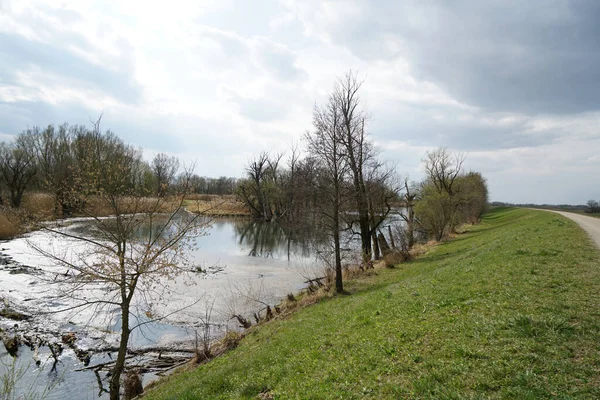 Een Rivier Omringd Door Groen — Stockfoto