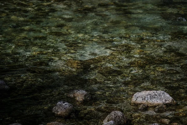 Primer Plano Lago — Foto de Stock