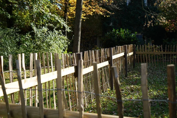 Mise Point Sélective Une Clôture Bambou Avec Barbelés Dans Forêt — Photo