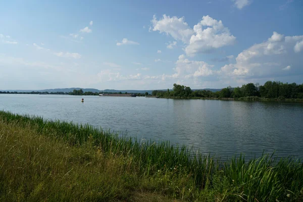 Een Rustig Meer Gezien Door Gras — Stockfoto