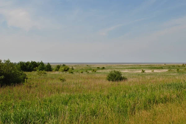 Eine Schöne Aufnahme Eines Feldes Unter Strahlend Blauem Himmel — Stockfoto