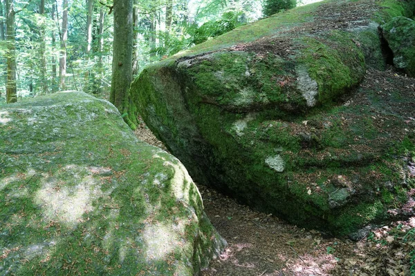 Una Roca Musgosa Bosque — Foto de Stock