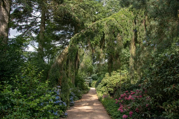 Vacker Botanisk Trädgård Med Blommor Och Gröna Träd — Stockfoto