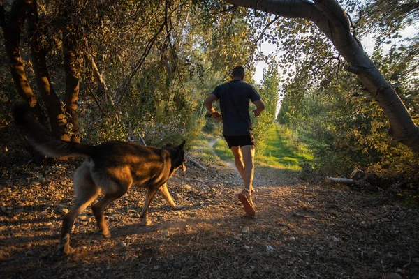 Macho Forma Corriendo Bosque Con Perro — Foto de Stock