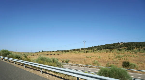 Campo Seco Rural Visto Através Uma Estrada — Fotografia de Stock