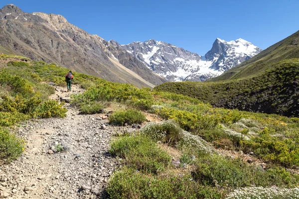 Ein Wanderer Naturdenkmal Morado Chile — Stockfoto