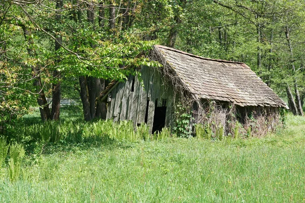 Starobylý Dřevěný Vesnický Dům Lese — Stock fotografie