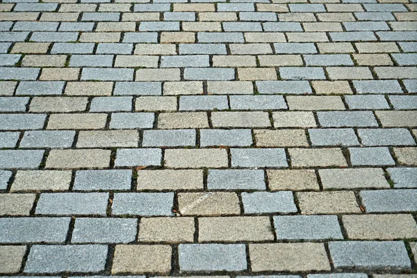 Closeup Focus Shot Brick Tile Ground — Stock Photo, Image